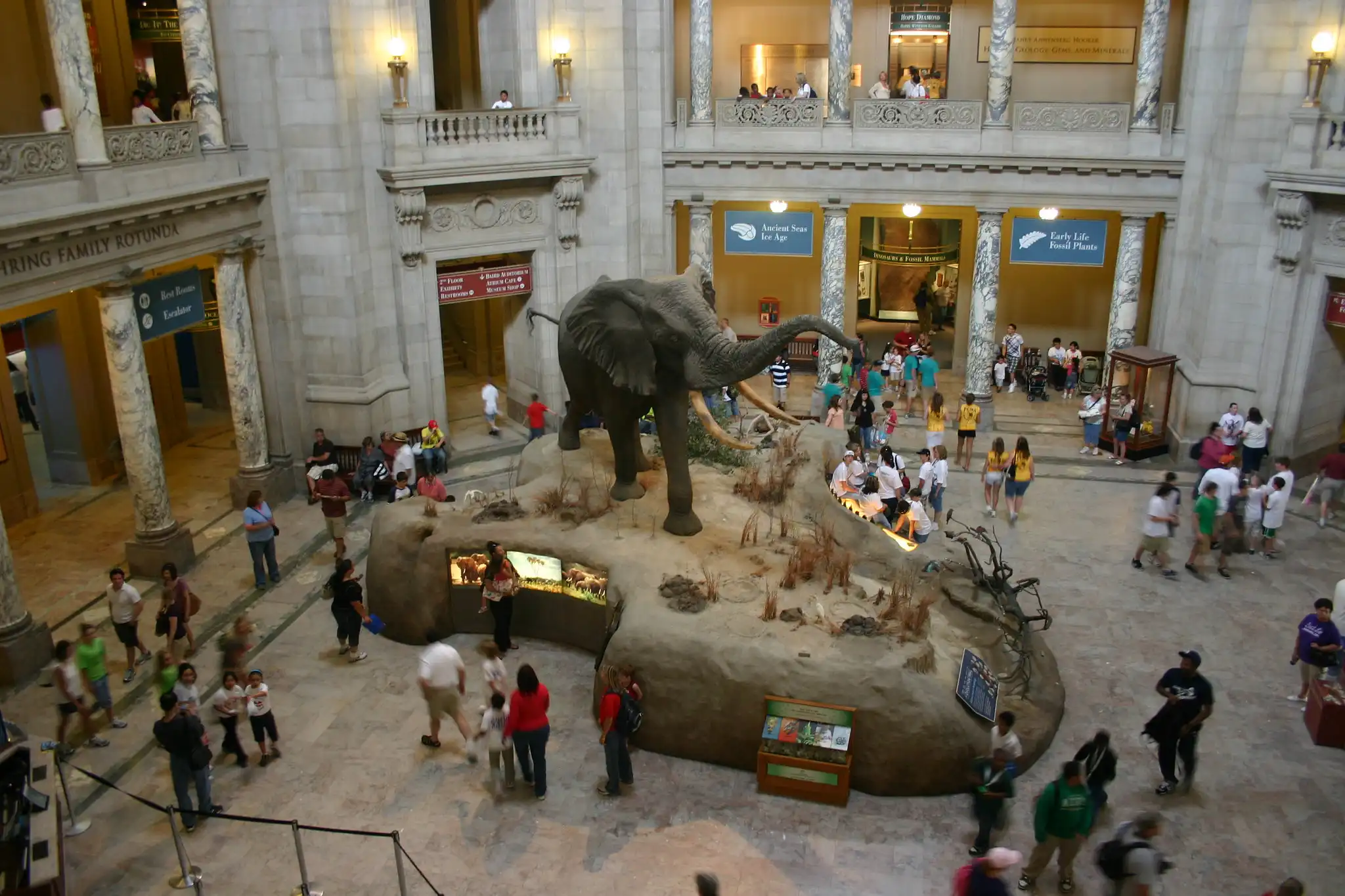 Smithsonian Museum of Natural History