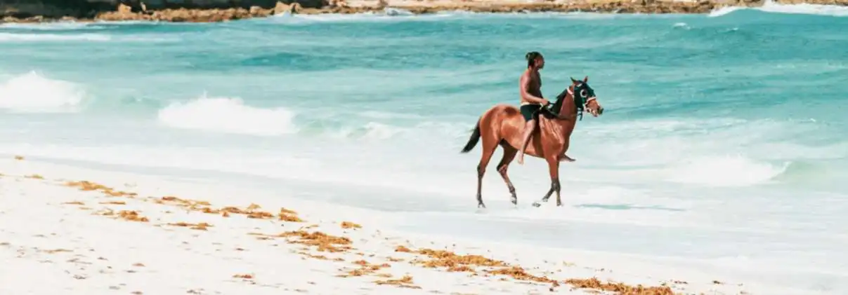 Horseback Riding in cabo san lucas